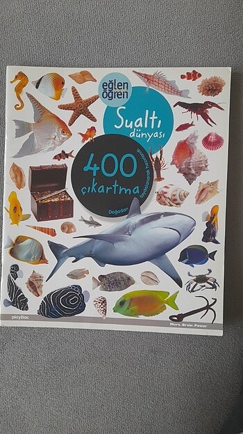 Eğlen Öğren Sualtı Dünyası/400 çıkartma/PlayBac Publıshıng