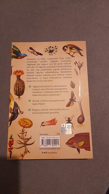  Doğa Kitabı Bitkiler,Hayvanlar ve Gezegenimiz/Marianne Taylor/Ma