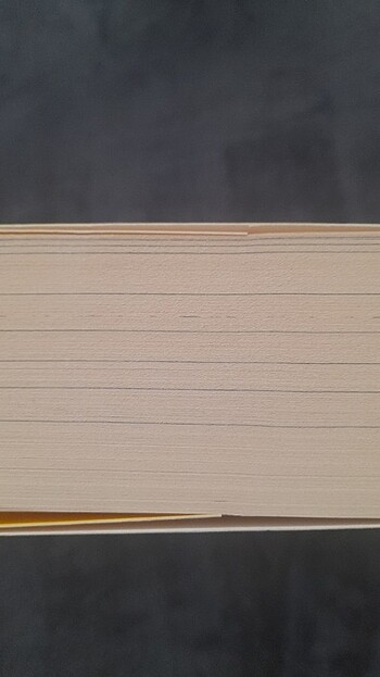 Kaptan Mari Ayı'nın 13 1/2 Hayatı/Epsilon Yayınları/Walter Moers - Görsel 8