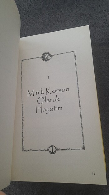 Kaptan Mari Ayı'nın 13 1/2 Hayatı/Epsilon Yayınları/Walter Moers - Görsel 13