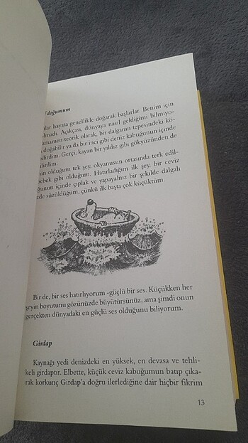 Kaptan Mari Ayı'nın 13 1/2 Hayatı/Epsilon Yayınları/Walter Moers - Görsel 14