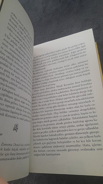 Kaptan Mari Ayı'nın 13 1/2 Hayatı/Epsilon Yayınları/Walter Moers - Görsel 16