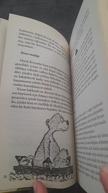 Kaptan Mari Ayı'nın 13 1/2 Hayatı/Epsilon Yayınları/Walter Moers - Görsel 17