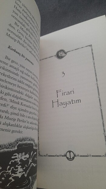 Kaptan Mari Ayı'nın 13 1/2 Hayatı/Epsilon Yayınları/Walter Moers - Görsel 18