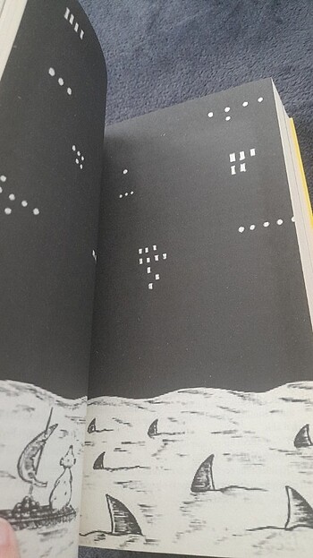 Kaptan Mari Ayı'nın 13 1/2 Hayatı/Epsilon Yayınları/Walter Moers - Görsel 19