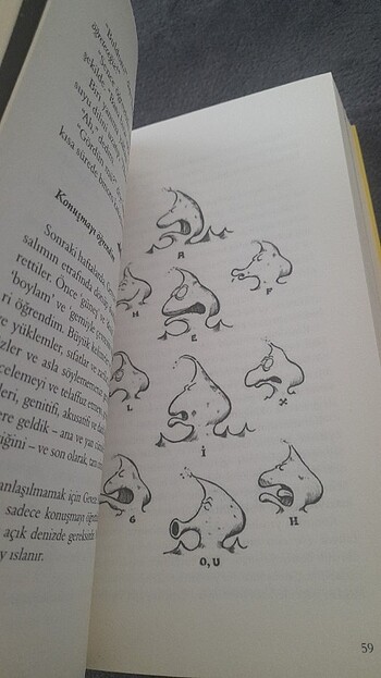 Kaptan Mari Ayı'nın 13 1/2 Hayatı/Epsilon Yayınları/Walter Moers - Görsel 20