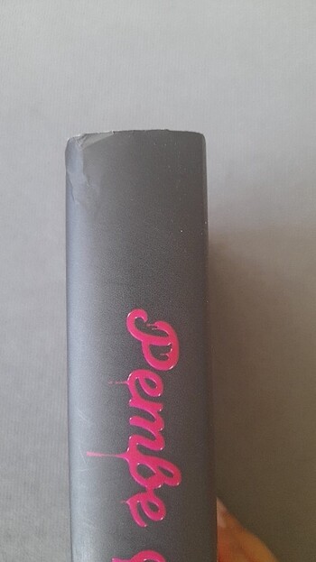 Pembe Mezarlık /Can Temiz,İsmail Türküsev/Postiga Yayınları - Görsel 4