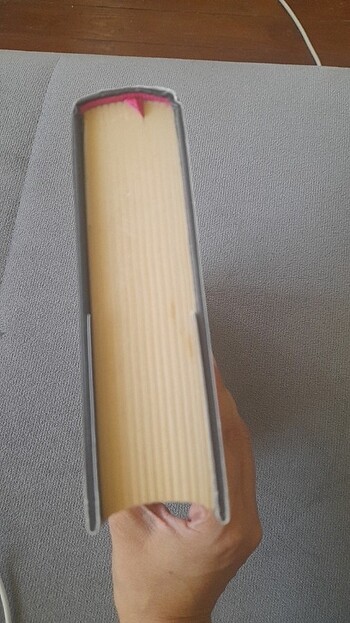 Pembe Mezarlık /Can Temiz,İsmail Türküsev/Postiga Yayınları - Görsel 8