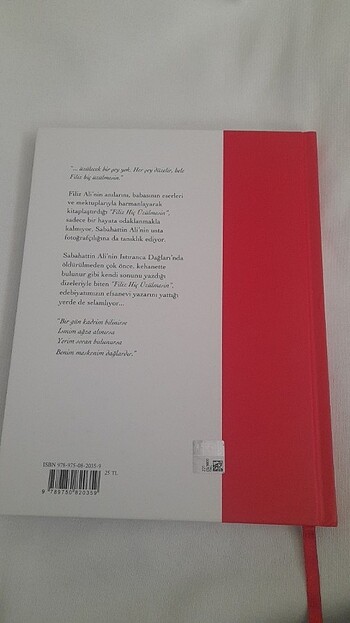 Beden Renk Filiz Hiç Üzülmesin/Filiz Ali/Yapı Kredi Yayınları