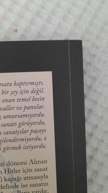 Beden Renk Alman Koleksiyoncu/Manuel Benguigui/Yapı Kredi Yayınları