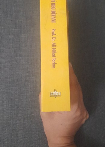 Necati Beg Divanı - Prof. Dr. Ali Nihat Tarlan - Görsel 9