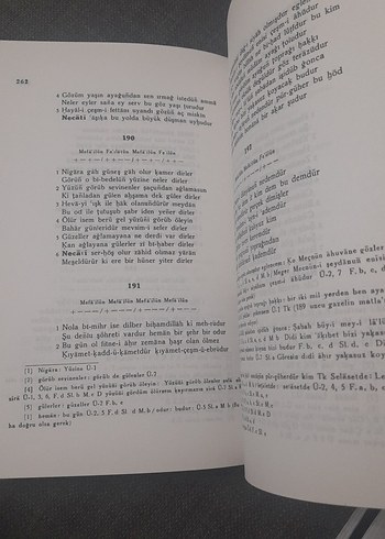 Necati Beg Divanı - Prof. Dr. Ali Nihat Tarlan - Görsel 19