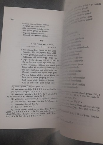 Necati Beg Divanı - Prof. Dr. Ali Nihat Tarlan - Görsel 17