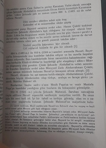 Necati Beg Divanı - Prof. Dr. Ali Nihat Tarlan - Görsel 14