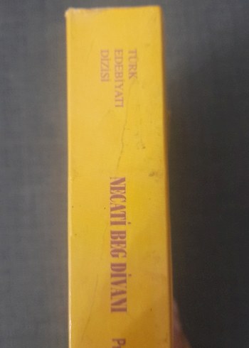 Necati Beg Divanı - Prof. Dr. Ali Nihat Tarlan - Görsel 8