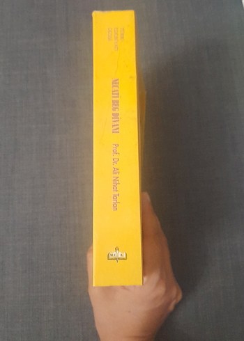 Necati Beg Divanı - Prof. Dr. Ali Nihat Tarlan - Görsel 7