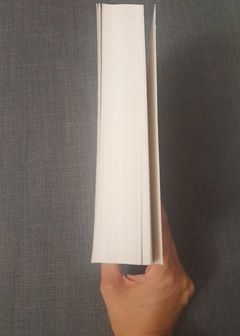 Necati Beg Divanı - Prof. Dr. Ali Nihat Tarlan - Görsel 5