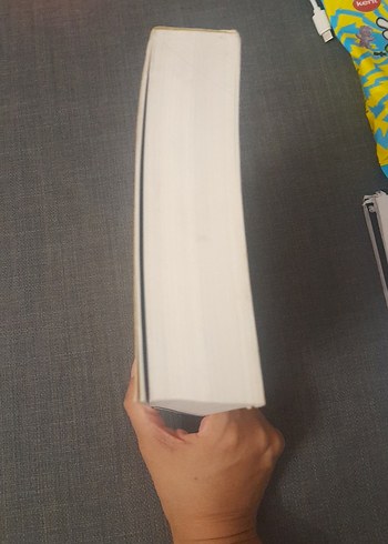 Necati Beg Divanı - Prof. Dr. Ali Nihat Tarlan - Görsel 10