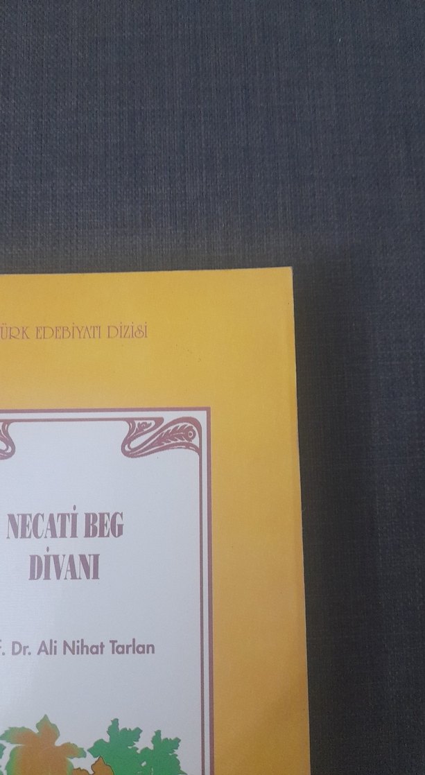 Necati Beg Divanı - Prof. Dr. Ali Nihat Tarlan - Görsel 3