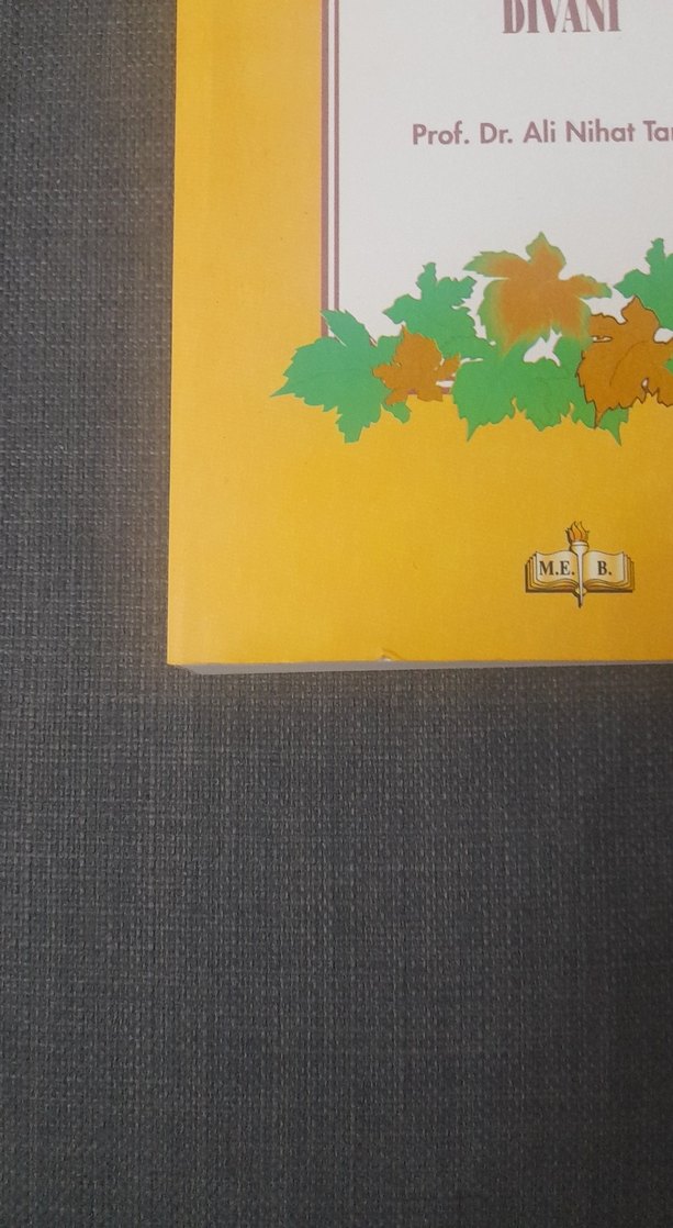 Necati Beg Divanı - Prof. Dr. Ali Nihat Tarlan - Görsel 2