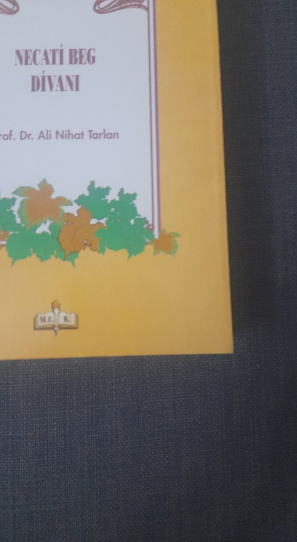 Necati Beg Divanı - Prof. Dr. Ali Nihat Tarlan - Görsel 4