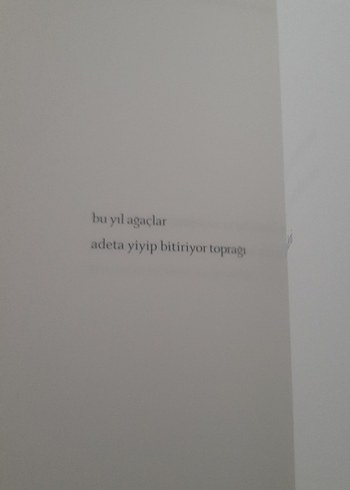 Önemsizlikler - Uygur Davaslı - Görsel 10