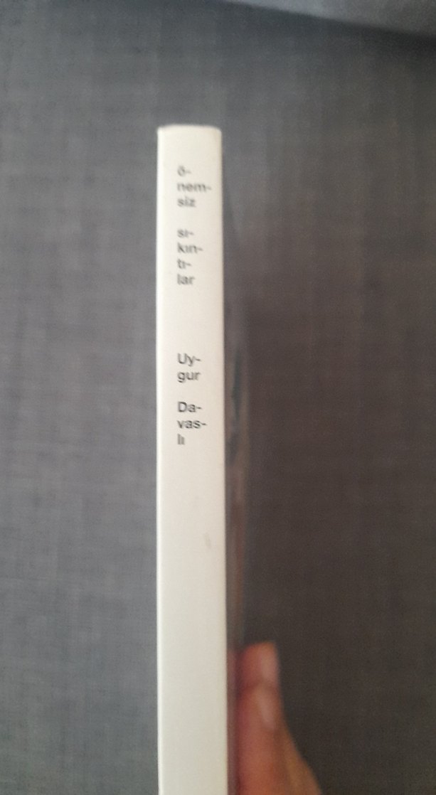 Önemsizlikler - Uygur Davaslı - Görsel 5