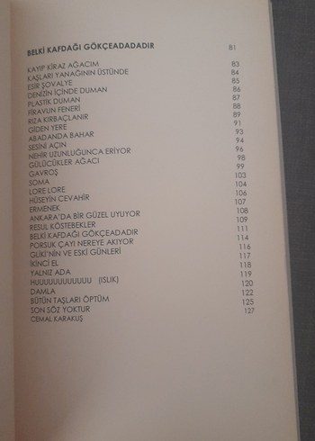 Belki Kafdağı Gökçeada'dır - Cemal Karakuş - Görsel 10