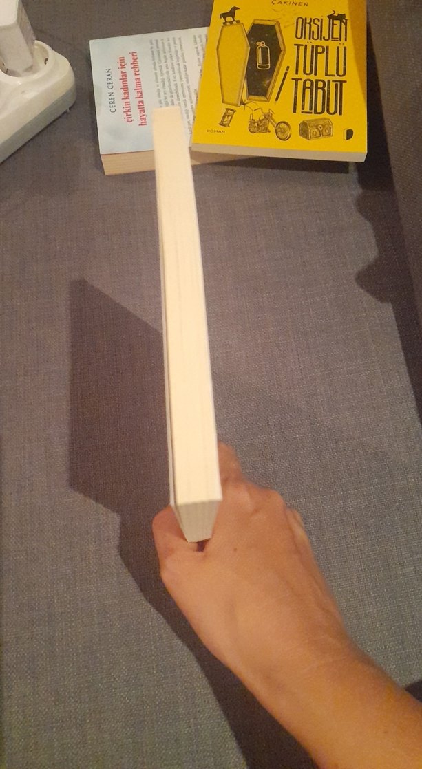 Eski Türk Mitolojisi - Jean-Paul Roux - Görsel 5