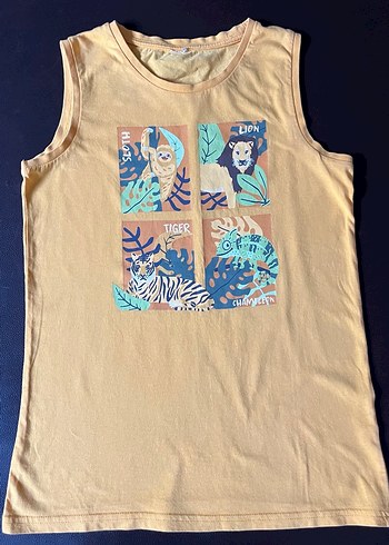 LC Waikiki 11-12 Yaş