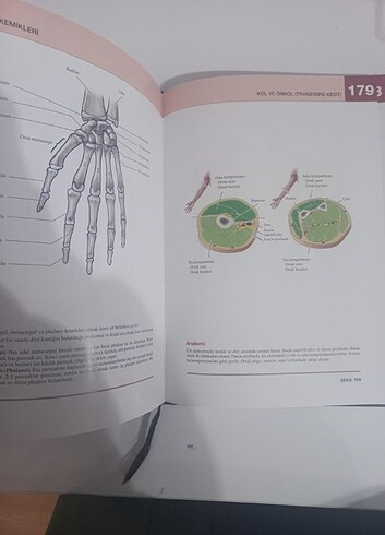 Anatomi kitap 