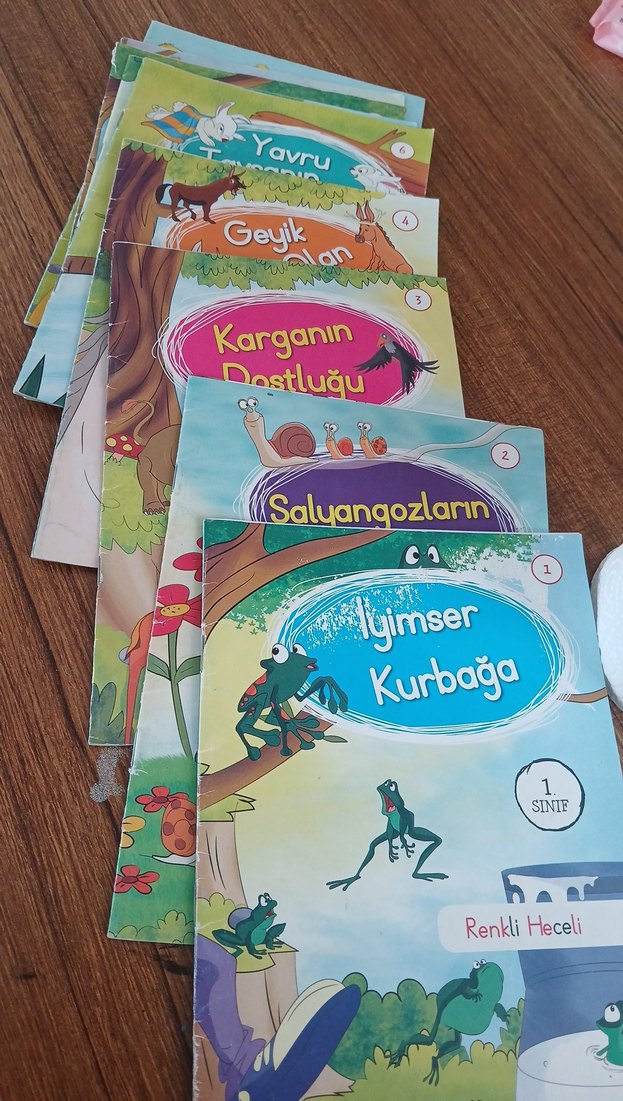 1.sınıf Renkli Heceli Çocuk Kitapları Seti - Görsel 2