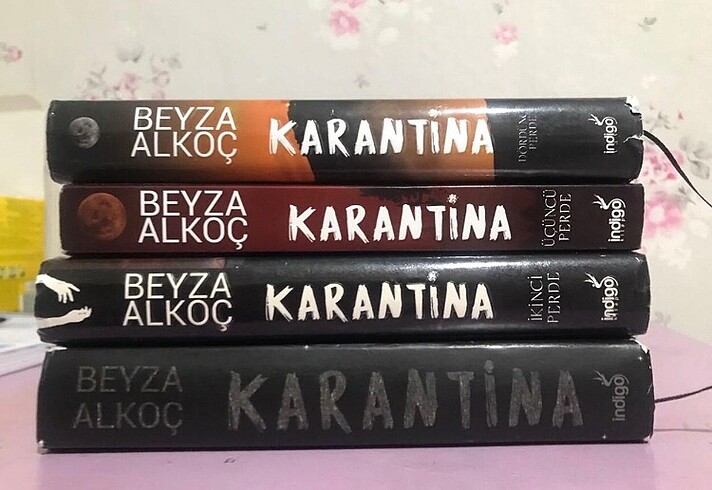 karantina serisi beyza alkoc