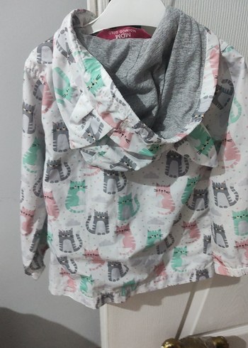 Gri Kedili Fermuarlı Sokak Stili Kedi Kıyafeti 3,4 yaş - Görsel 4