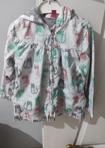 Gri Kedili Fermuarlı Sokak Stili Kedi Kıyafeti 3,4 yaş - Görsel 2