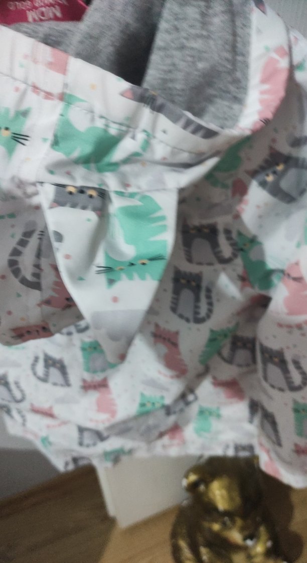 Gri Kedili Fermuarlı Sokak Stili Kedi Kıyafeti 3,4 yaş - Görsel 5