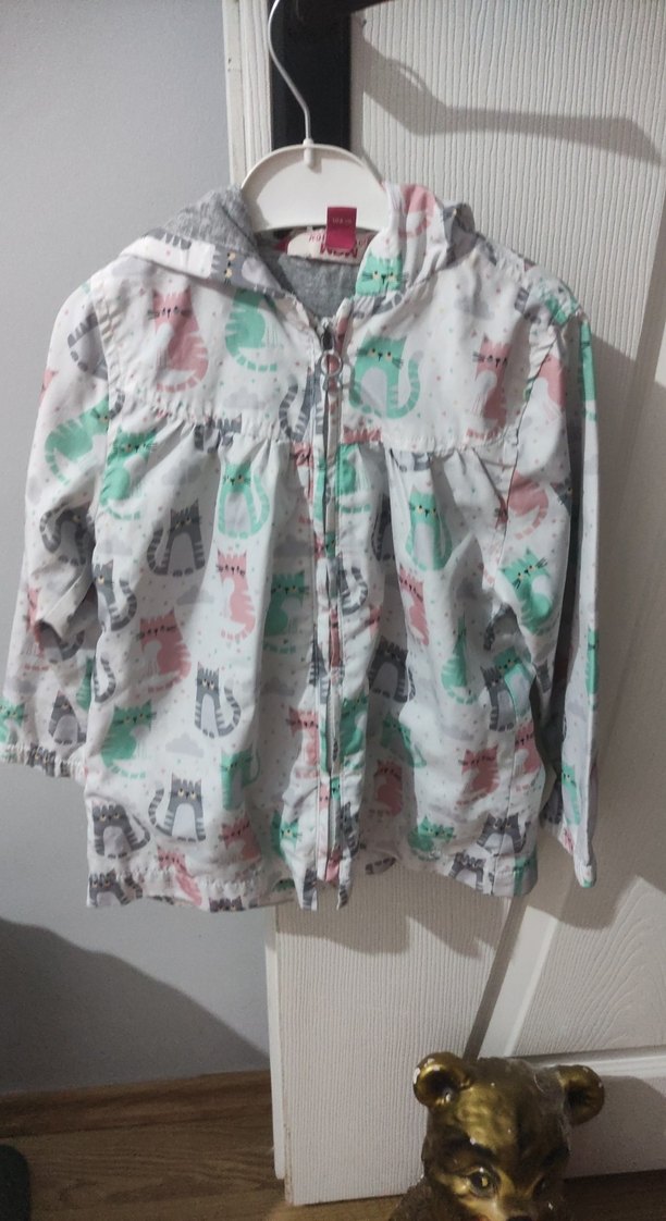 Gri Kedili Fermuarlı Sokak Stili Kedi Kıyafeti 3,4 yaş - Görsel 2