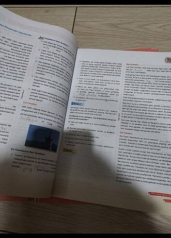 Beden 11.SINIF TESTOKUL FELSEFE