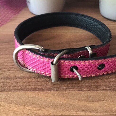 Köpek boyun tasması