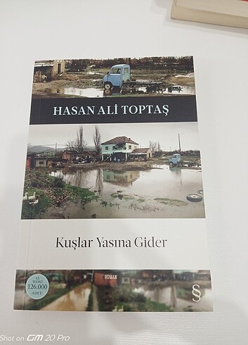 Hasan Ali Toptaş ikili kitap