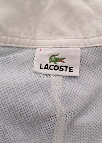 Lacoste erkek deniz şortu - Görsel 7