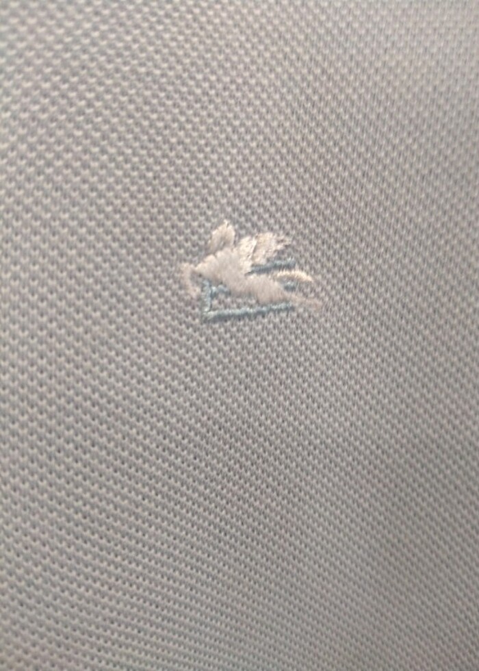 ETRO Polo yaka Erkek T-shirt - Görsel 4