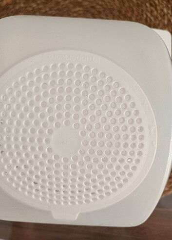 Tupperware Tupperware Peynir Kutusu