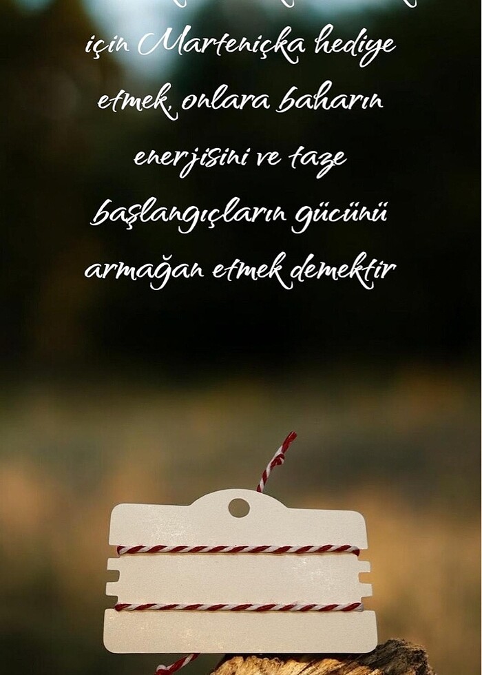 Marteniçka bileklik - Görsel 3