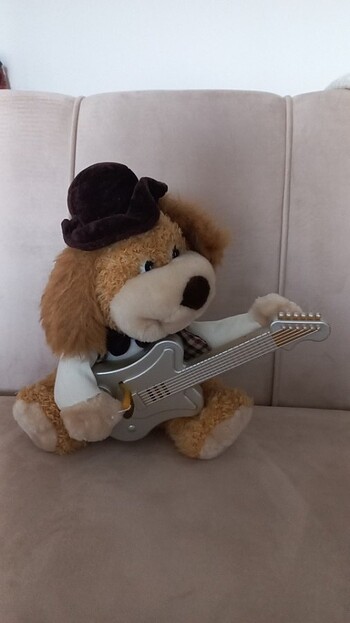 Gitar çalan köpek