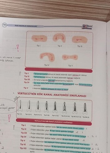 Endo şampiyonların notu