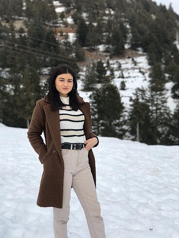 Diğer Kısa kaban