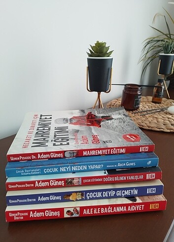 Adem Güneş kitap serisi