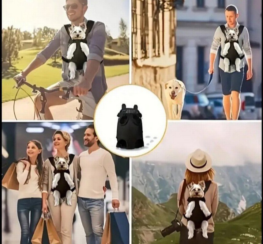 kedi köpek anakucagı taşıma çantası - Görsel 4