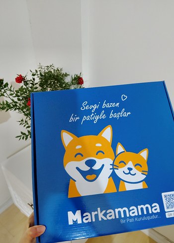 Karışık kedi ürünleri - Görsel 12